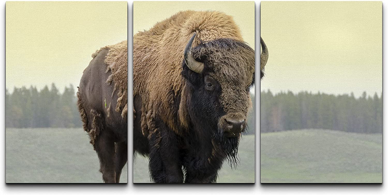 Wyoming Buffalo Sticker Decal 3.9" x 3" Yellowstone National Park Bison 