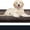 Grayish Brown & Coffee, variant on Dirt Trapping Door Ma, Non-Slip Machine Washable Entryway Rug, Entrance Mat, Indoor Front Door Mat, Super Absorbent Entry Rug for Muddy Shoes & Paws