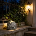 thumbnail image 7 of Gifts Dianli Solar Ladybug Garden Lights Stone Effect Waterproof Outdoor Animal Statue With LED for Yard Pathway Patio Landscape Decor Night Lighting and Gift Idea, 7 of 7
