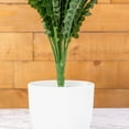 thumbnail image 4 of ELITE FLORAL 22" Artificial Boston Fern Spray Faux Fern Spray Plant with 17" Leaves, 4 of 6