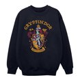 thumbnail image 1 of Harry Potter Boys Gryffindor Cotton Sweatshirt, 1 of 6