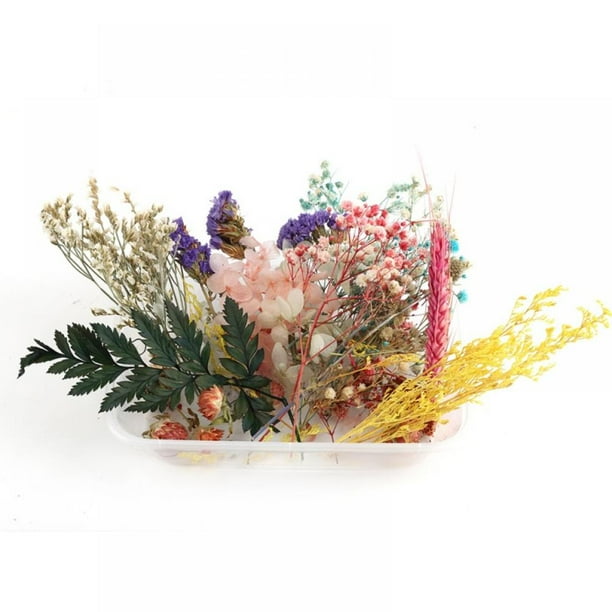 Taykoo Dried Flowers For Soap Making Natural Dried Flowers And Herbs Kit For Resin Candle Making Bath Walmart Com Walmart Com
