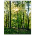 thumbnail image 1 of Picture-Tiles.com: Trees Ceramic Tile Wall Mural WAL501023-45L. 32"W x 40"H using (20) 8" x 8" Ceramic Tiles-Satin Finish, 1 of 3
