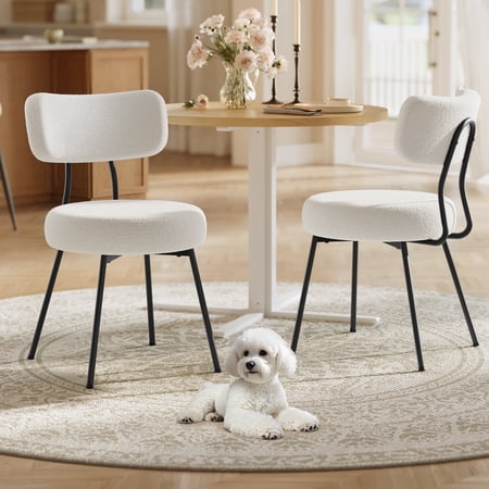 Set of 2 Modern Upholstered Dining Chairs with Curved Backrest Plush Teddy Fleece & Sturdy Steel Frame for Comfortable Seating Cream White
