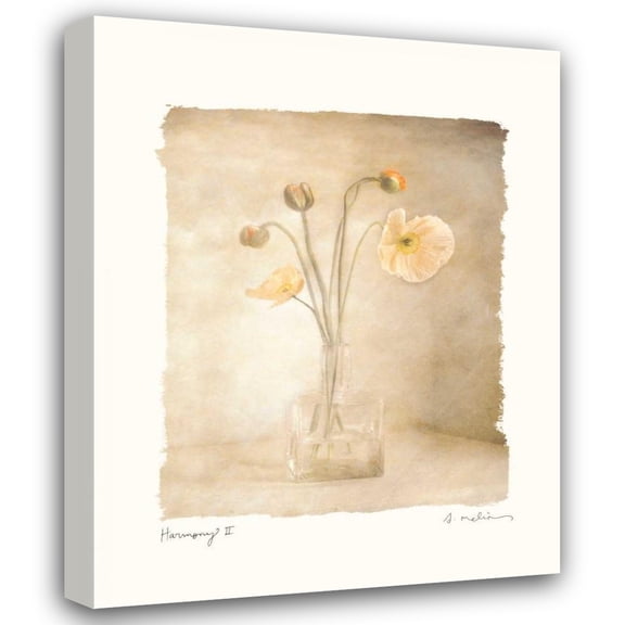 Amy Melious 15x18 Gallery Wrapped Canvas Wall Art Titled - Harmony II