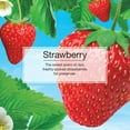thumbnail image 4 of Little Trees Air Freshener Strawberry Fragrance 24-Pack, 4 of 9