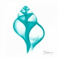 thumbnail image 2 of Koetsier, Albert 20x20 White Modern Wood Framed Museum Art Print Titled - Turquoise Tulip Shell, 2 of 4