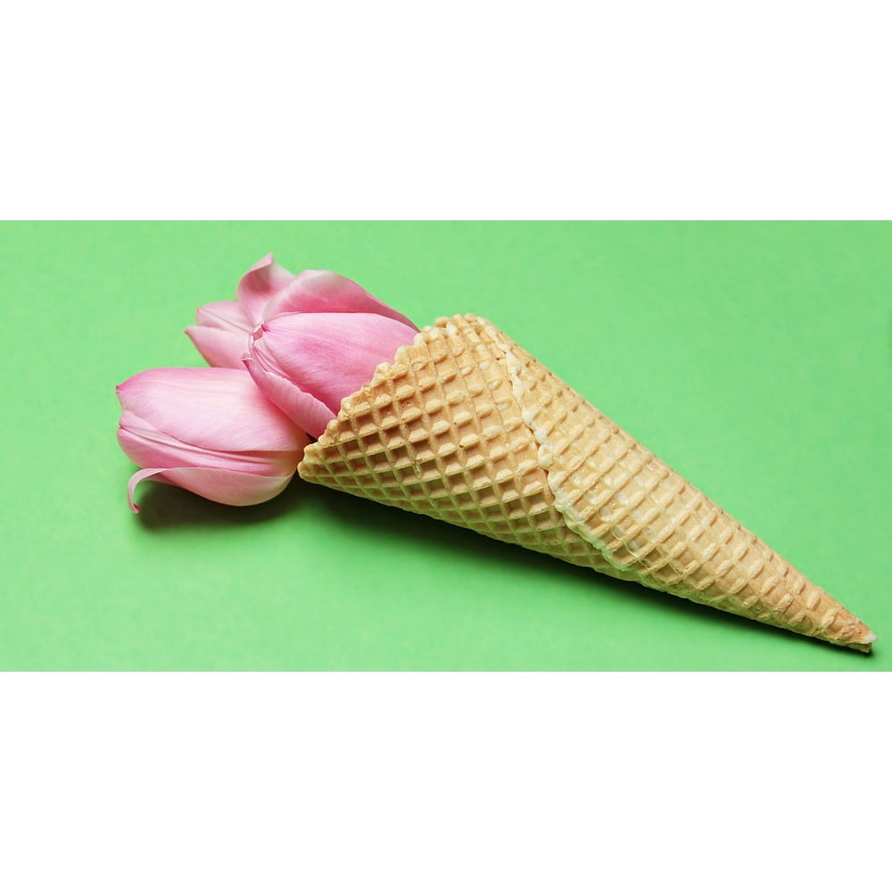 Ice Cream Cone Tulips Waffle Flowers Tulip Flower-20 Inch By 30 Inch