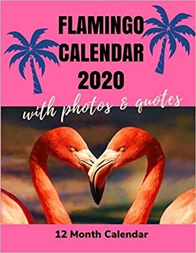 Flamingo Calendar 2020 - 12 Month Calendar...PAPERBACK โ 2019 by I Just Flamingo Calendar 2020 - 12 Month Calendar...PAPERBACK โ 2019 by I Just