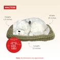 thumbnail image 3 of Pelúcia Perfect Petzzz Maltés 25x19x9 cm a Pilas, 3 of 7