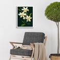 thumbnail image 2 of Jasmine Flower Blooms Realism Painting With Black Art Print Framed Poster Wall Decor 12x16 inch, 2 of 5