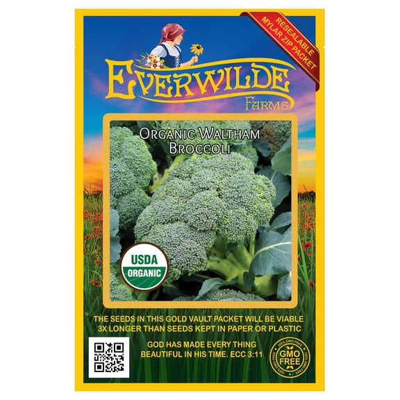 Everwilde Farms - 250 Organic Waltham Broccoli Seeds - Gold Vault Jumbo Bulk Seed Packet