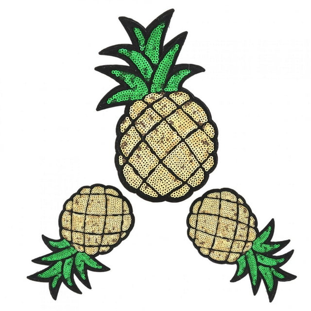 Parches de Lentejuelas de Hierro de Piña, 3 piezas de apliques bordados, decoración artesanal para camisetas, chaquetas, sombreros con plancha o coser, buena solución para rapa