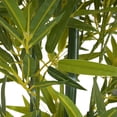 thumbnail image 4 of Christopher Knight Home 61" Bamboo in Black Plastic Pot, Pre-Potted Faux Greenery Tree for Home Decor, Set of 2, 4 of 10