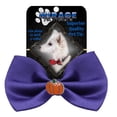 thumbnail image 1 of Pumpkin Widget Pet Bowtie Purple, 1 of 1