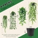 thumbnail image 2 of Plantas colgantes artificiales Der Rose, 4 unidades, hiedra, vid, eucalipto, 2 of 7