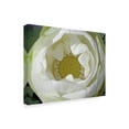 thumbnail image 2 of Trademark Fine Art 'Delicate Lotus I' Canvas Art by Jim Christensen, 2 of 4