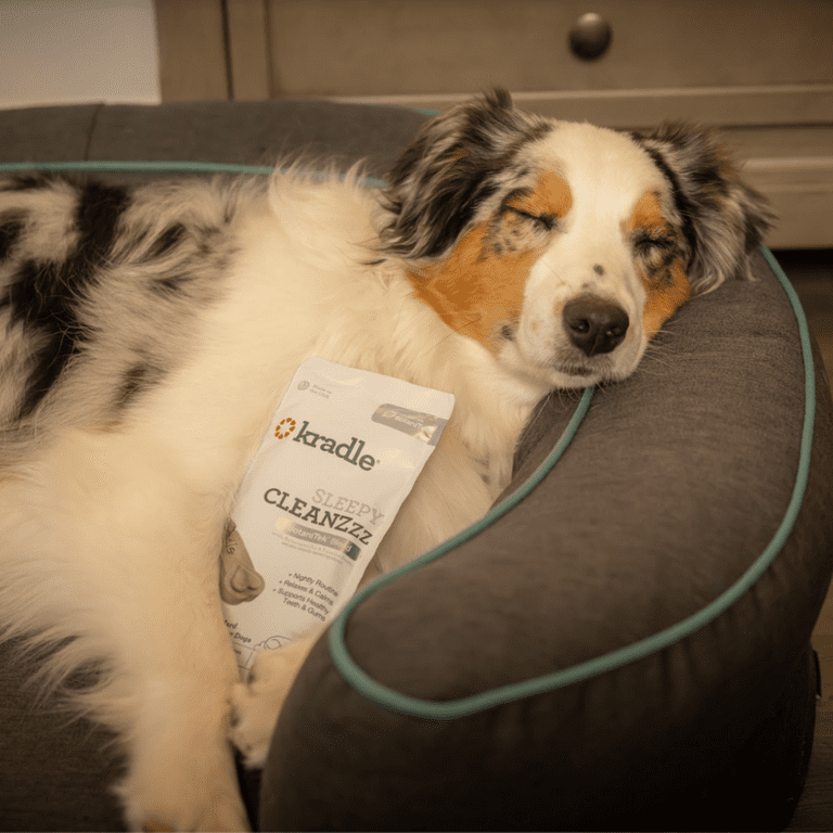 Kradle Sleepy Cleanzzz, Relaxing Dental Hard Dog Chews, Fresh Mint
