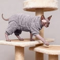 thumbnail image 4 of Warm Pet Sweater Sphynx Cat Clothes Fashion Soft Cat Apparel Comfort Thickened Winter Sphinx Hairless Cat Clothes, Sphynx Hairless Cat Sweater Cozy Warm (S), 4 of 6