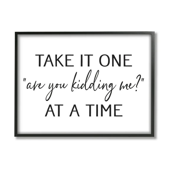 Stupell Industries Are You Kidding Me Humorous Casual Quote Saying Graphic Art Black Framed Art Print Wall Art, Design by Lettered and Lined