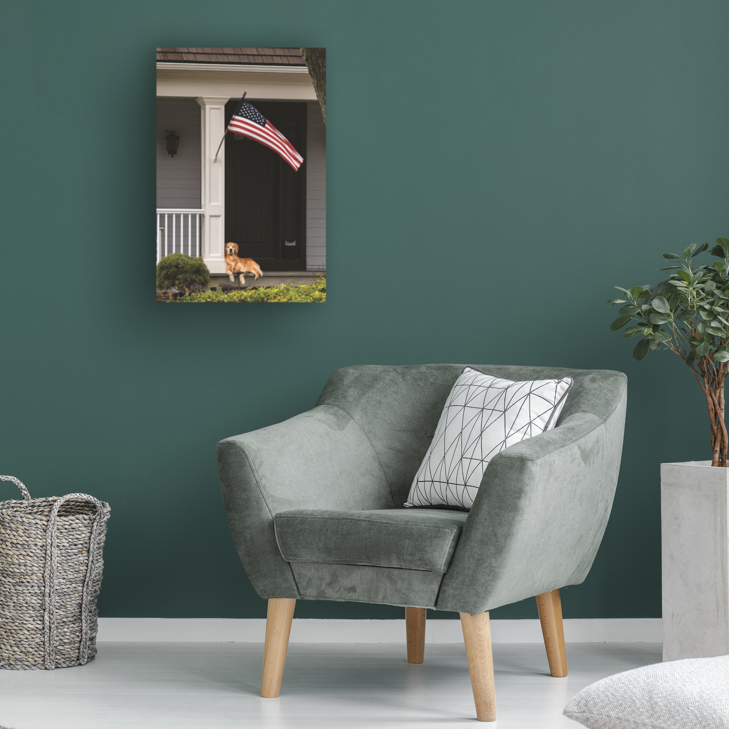 Kurt Shaffer Photographs 'American Golden Retriever' Canvas Art