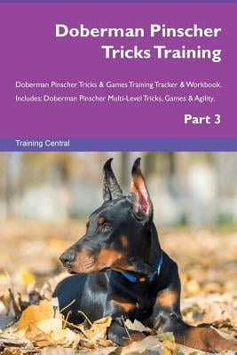 doberman agility training