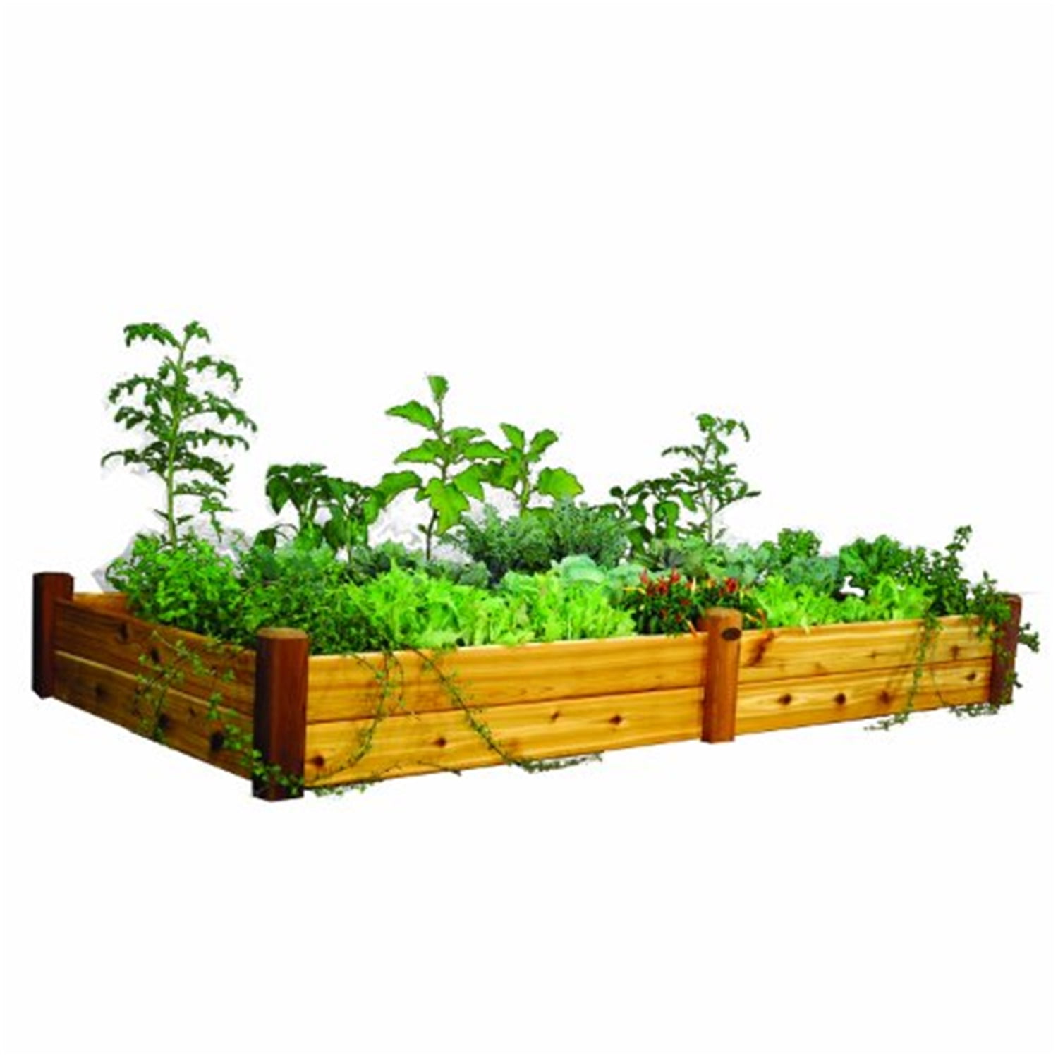Two Level Raised Garden Beds