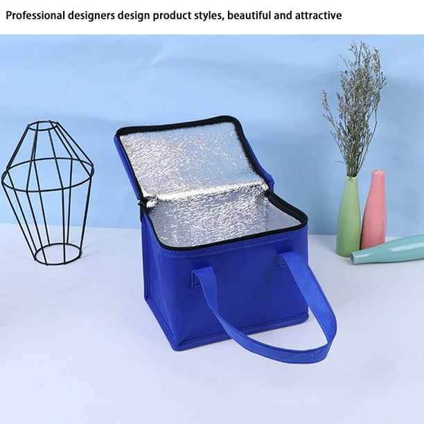 Mochila Termica Bolsa Térmica Portátil Impermeable Para Almuerzo, Picnic,  Playa, 23x21x13 Cm, Aislante Bolsas Térmicas Para Almuerzo