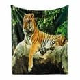 thumbnail image 1 of Tiger Soft Flannel Fleece Throw Blanket, Resting Feline in the Forest on a Large Rock Sublime Carnivore Beast Nature, Cozy Plush for Indoor and Outdoor Use, 70" x 90", Multicolor, by Ambesonne, 1 of 6