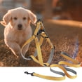 thumbnail image 4 of Adjustable Puppy Harness Set Prevent Break Free, Adjustable Buckles, Leash Rope Included - Essential Traction Tool for Dog Walks, 4 of 8