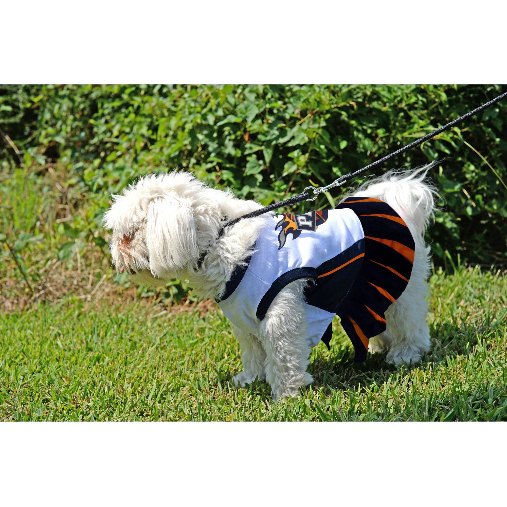 pets first nba phoenix suns dog cheerleader dress, x-small