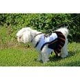 thumbnail image 4 of pets first nba phoenix suns dog cheerleader dress, x-small, 4 of 6
