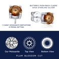 thumbnail image 5 of MomentWish Moissanite Birthstone Earrings,2 Carat VVS1 Simulated Diamond Stud Earrings 925 Sterling Silver, Jewelry Birthday Gift for Women, 5 of 7
