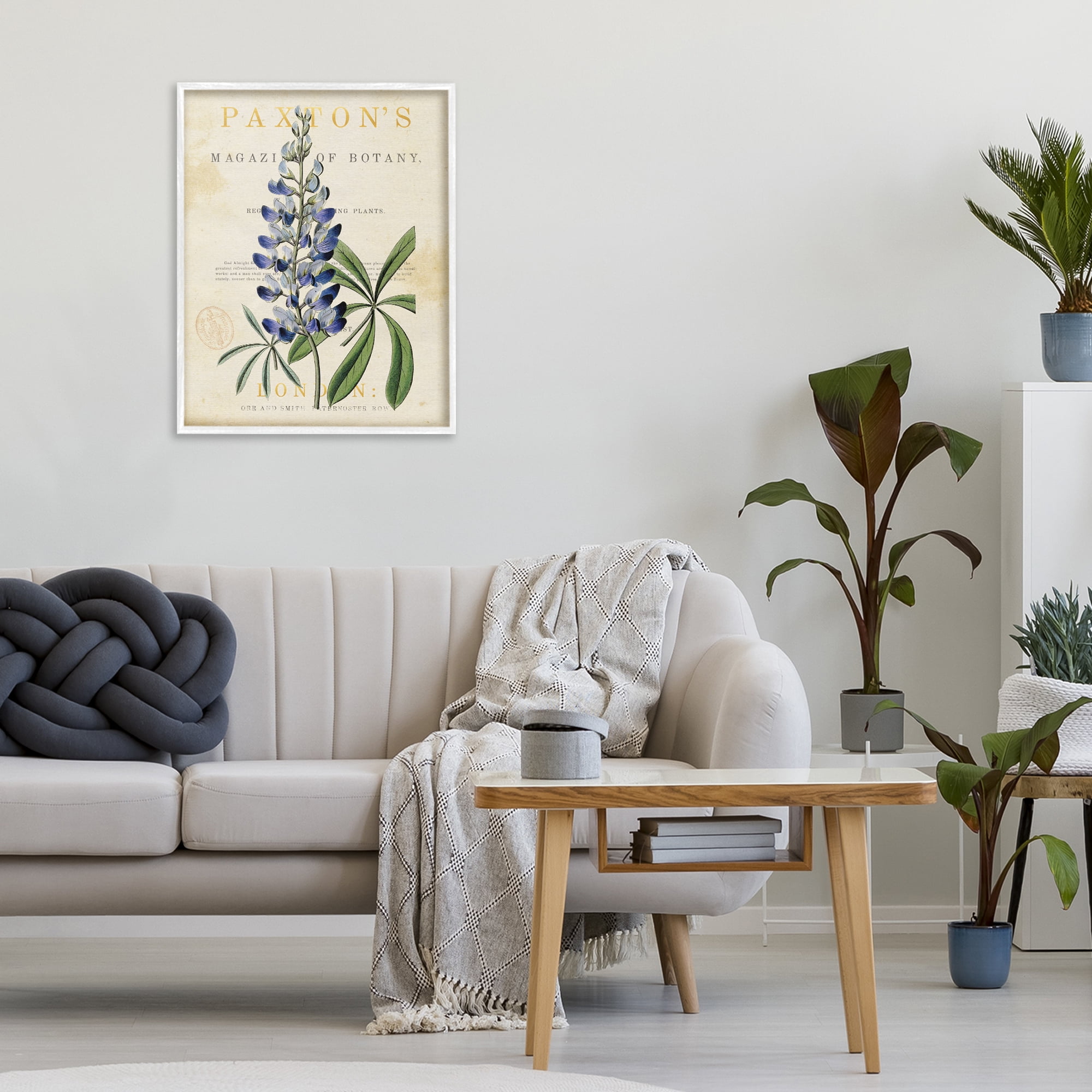 Stupell Industries Natural Botany Lupine White Framed Giclee Art, design by Susan Arnot
