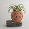 thumbnail image 5 of Foreside Home and Garden Natural Hand Stamped Terracotta Decorative Vase, 5 of 5