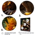 thumbnail image 3 of Designart "Floral Portrait Turtle I" Animals Floater Framed Canvas Print, 3 of 7
