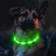 thumbnail image 2 of collier Lumineux Pour Chiens, Collier De Chien Led Recargable Usb, Clignotant Collier De Scurit Rglable Pour Petit, Moyen Et Grand Chien, Vert, 2 of 4