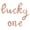 Rose Gold, variant on Cursive Script Letter Balloons - LUCKY ONE 16" Inch Alphabet Letters Foil Mylar Balloon 1st Birthday Party Banner (Gold)