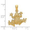 thumbnail image 4 of Diamond2Deal 14K Yellow Gold 2-D Textured Frog Charm Pendant for Women (L- 0.91 in, W- 0.91 in), 4 of 4