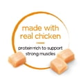 thumbnail image 5 of Purina Beneful Infused Wet Dog Food Pate With Real Chicken, Carrots and Spinach, With Fish Oil for Dogs, 3 oz Cans (3 Pack), 5 of 11