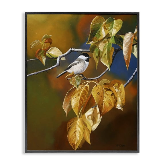 Stupell Industries Transitional Bird Perched in Nature Black Framed Giclee Art, 16 x 20, by Andrew Kiss