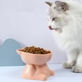 thumbnail image 2 of Tilted Elevated Cat Bowl for Cats and Dogs Protects Cervical Vertebravels High Feeding Bowl, 2 of 7