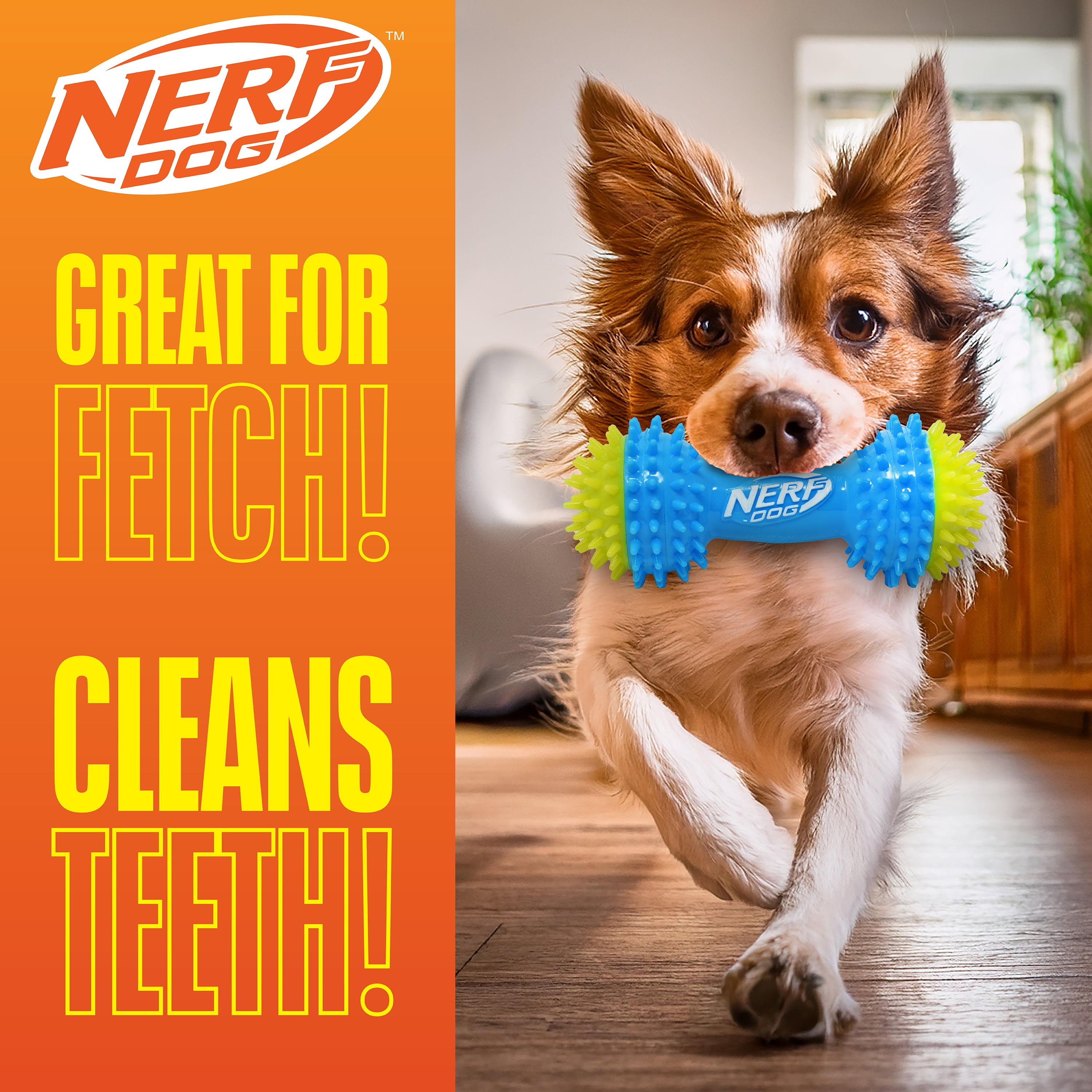 Nerf Dog TPR Squeak Spike Barbell Chew Toy for Dogs, Green/Blue, 7 inch