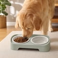 thumbnail image 6 of Double Bowl Pet Feeder 350ml Each Stays in Place for Cats and Small Dogs, Tilted Height Neck Care Removable Bowls, Stable Easy Clean Daily Feeding Station Indoor Gift, 6 of 7