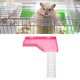 thumbnail image 1 of Plataforma De Hámster, Plataforma De Pie Con Escalera Para Plataforma De Escalada De Hámster Animales Accesorios De Jaula Juguete De Ejercicio Para Mascotas Adecuado Para, 1 of 7