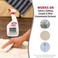 thumbnail image 3 of Nature’s Miracle Stain And Odour Remover For Dogs 32 Ounces, Spray, Odour Control Formula with Lavender Scent, 3 of 6