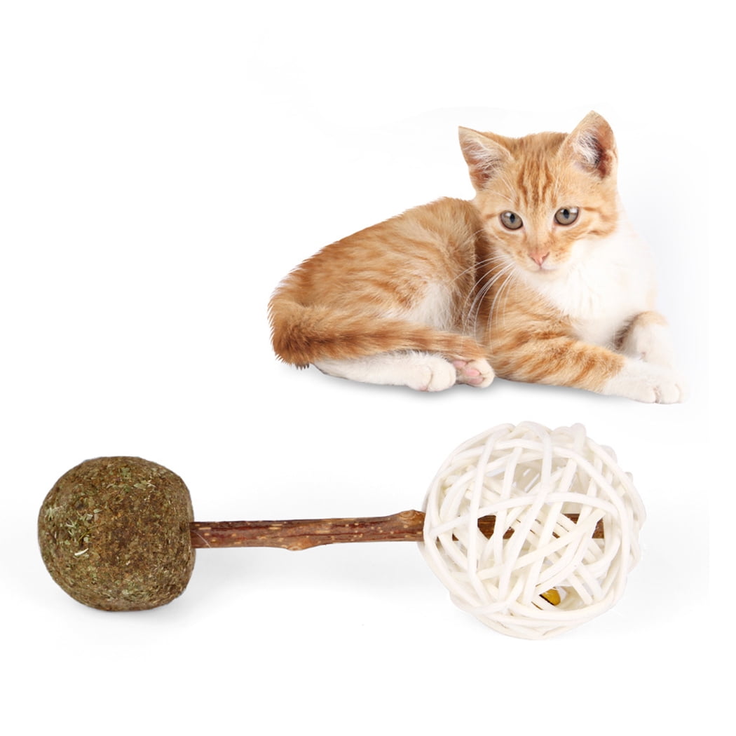 cat chew toys for teething
