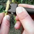 thumbnail image 6 of Garden Grafting Tool Double Edge Saw for Fruit Tree Pruning and Grafting with High Precision Cutting, 6 of 6