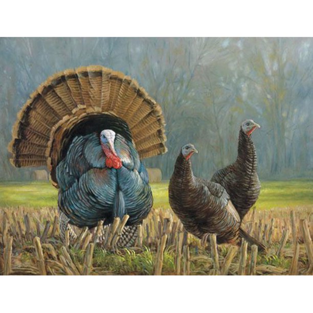 Diamond Painting (DE6641) 5D DIY Círculo completo Campo Animales E663 30x40cm FLhrweasw Nuevo