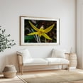 thumbnail image 5 of Trout Lily Bloom on a Spring Day - York Pennsylvania Photography Flowers Nature Botanical Floral Garden Wildlife Scenic Oak Framed Wall Art Print 5 x 7 inches, 5 of 9